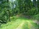 135 Rambling Ridge Road 20 sold home in Asheville, SC