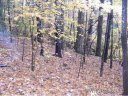 Lot 16 Fairway View Dr sold home in Weaverville, SC