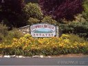Lot 9 Junebug Trail Trail sold home in Waynesville, SC