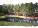 36 Copper Mill Court 22 sold home in Candler, SC