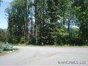18 Timber Moss sold home in Asheville, SC