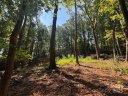 396 White Oak Mountain Road sold home in Columbus, SC