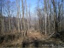 00 Slippery Rock Road 122 sold home in Waynesville, SC