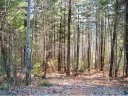 9999 Hosta Lane 24 sold home in Hendersonville, SC