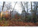 Lot 48 Wildflower sold home in Franklin, SC