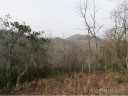 Lot 83 Wildflower sold home in Franklin, SC