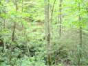 11 Long Branch Road sold home in Maggie Valley, SC