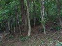 Lot 203 Forest Dr sold home in Maggie Valley, SC