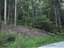 0 Old Mill Road 31 sold home in Hendersonville, SC