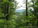 Lot 20 Black Oak Drive sold home in Asheville, SC