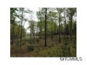 L1 Flint Rock Trace sold home in Cedar Mountain, SC