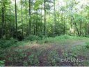 Lot 110 Penrose Court sold home in Franklin, SC