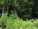 Lot 103 Bear River Lodge sold home in Marshall, SC