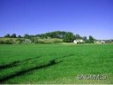 Lot 33 Windover Farms sold home in Brevard, SC