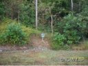 Lot 41 Clear Creek Trail sold home in Lake Lure, SC