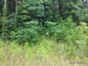 18 Wind Stone Drive Lot 2 sold home in Asheville, SC