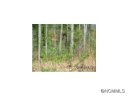 48 Wind Stone Dr Lot 65 sold home in Asheville, SC