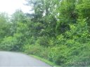 36 Timber Moss Dr Lot 48 sold home in Asheville, SC