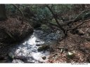 L15 David S Trace sold home in Pisgah Forest, SC