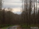75 Bamboo Trl sold home in Candler, SC