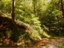 00 Vireo Lane sold home in Waynesville, SC