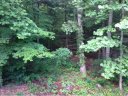 Lot 18 Kanuga Ridge sold home in Hendersonville, SC