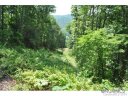 Lot 20 Silent Forest Drive sold home in Canton, SC