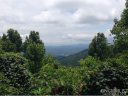 1833 Town Mountain Road sold home in Asheville, SC