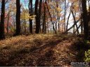 7 Acres High Top Drive sold home in Fletcher, SC