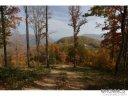 Lot 71 Grand Oaks Drive sold home in Hendersonville, SC
