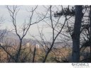 54 Timber Moss Drive sold home in Asheville, SC