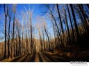 58 Castanea Mountain Drive sold home in Asheville, SC