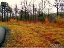 Lot 255 Grey Rock Parkway sold home in Lake Lure, SC
