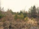 Lot 39 Lake Haven Drive Drive sold home in Lake Lure, SC
