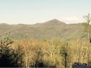 753 Grand Oaks Drive 33 sold home in Hendersonville, SC