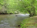 Lot 73 Back River Trail sold home in Marshall, SC