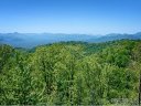 Lot 23 Peregrine Lane sold home in Asheville, SC