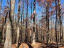 Lot 342 Severy Lane sold home in Brevard, SC