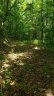 1111 E Clubhouse Road sold home in Sylva, SC