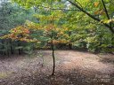 333 Mossy Oak Trail sold home in Nebo, SC