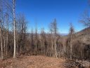 99999 Farm Cove Lane 10 sold home in Leicester, SC