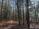 1291 Scenic Vista Drive 288 sold home in Nebo, SC
