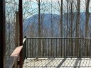 700 Summit Road sold home in Tryon, SC