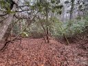000 Falls Creek Court sold home in Pisgah Forest, SC