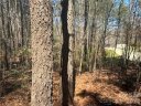 1403 Ron Whicker Drive sold home in Catawba, SC