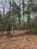 1553 Country View Way sold home in Arden, SC