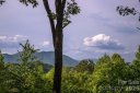 339 Honey Locust Trail sold home in Whittier, SC