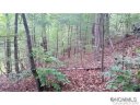9 Woodhaven 21 sold home in Asheville, SC