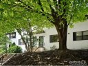 615 Biltmore Avenue sold home in Asheville, SC