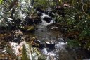 4 Timberline Drive sold home in Maggie Valley, SC